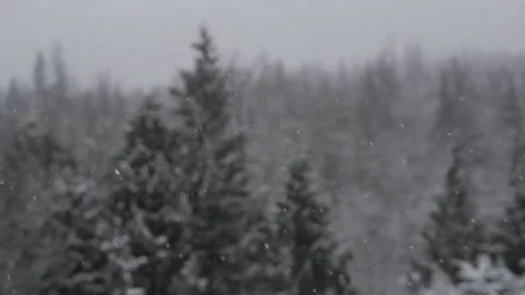 Winter Snowfall Stock Footage 132790755