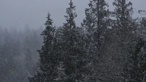 Winter Snowfall Video stock 132790963