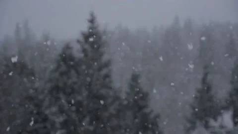 Winter Snowfall Stock Footage 132791190