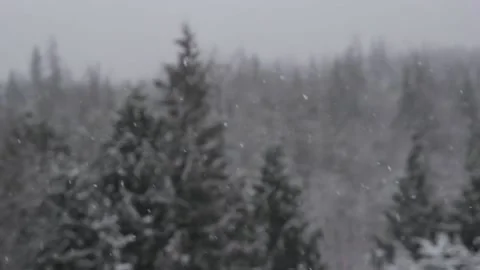 Winter Snowfall Video stock 132791588