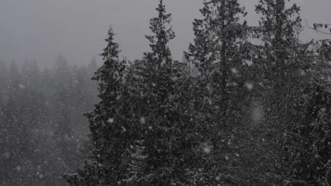 Winter Snowfall Stock Footage 132792065