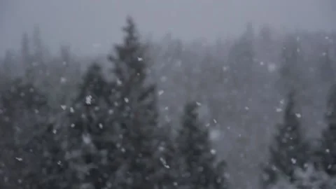 Winter Snowfall Video stock 132792096
