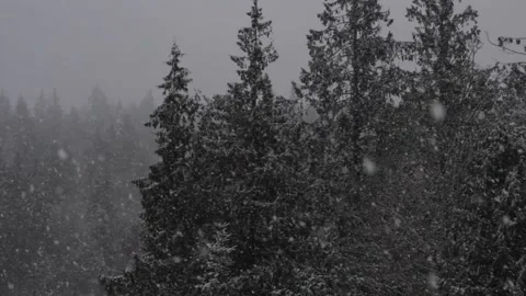 Winter Snowfall Video stock 132792536