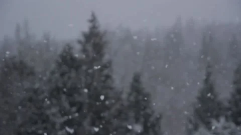 Winter Snowfall Stock Footage 132792675