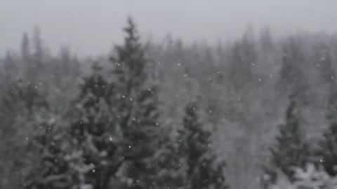 Winter Snowfall Video stock 132792904