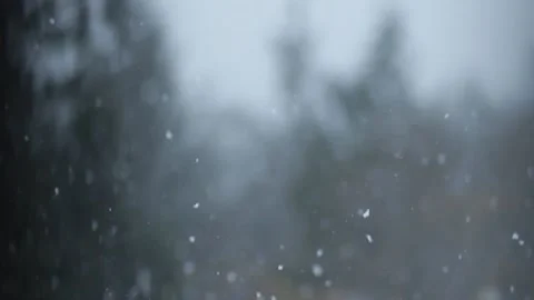 Winter Snowfall Stock Footage 132792959