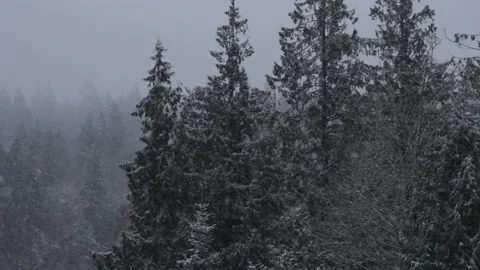 Winter Snowfall Stock Footage 132793215
