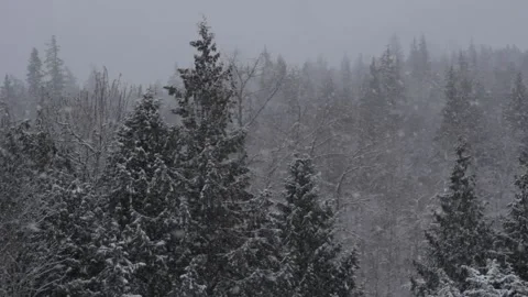 Winter Snowfall Stock Footage 132793622