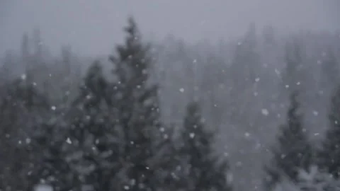 Winter Snowfall Stock Footage 132793625