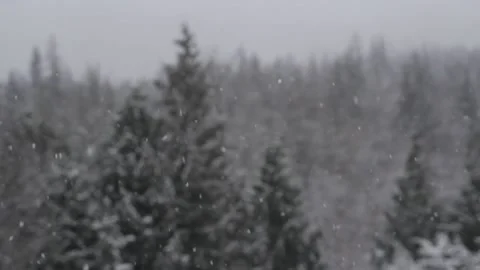 Winter Snowfall Stock Footage 132793663