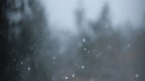 Winter Snowfall Stock Footage 132793692