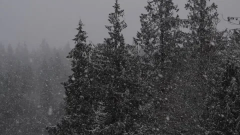 Winter Snowfall Video stock 132793942