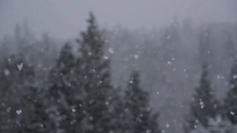 Winter Snowfall Stock Footage 132793980