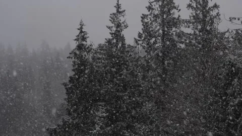 Winter Snowfall Stock Footage 132795004