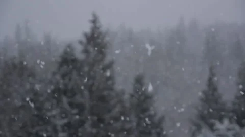 Winter Snowfall Stock Footage 132795007