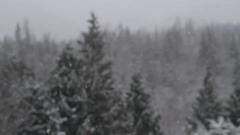 Winter Snowfall Video stock 132795175