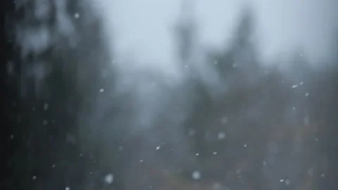 Winter Snowfall Video stock 132795234