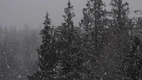 Winter Snowfall Video stock 132795787