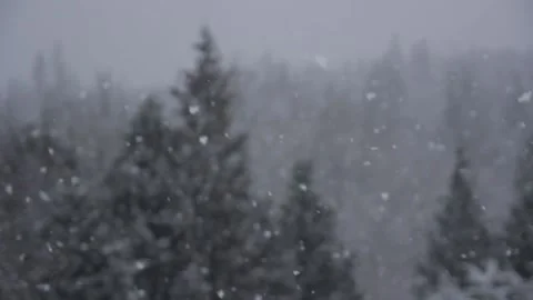 Winter Snowfall Stock Footage 132795856