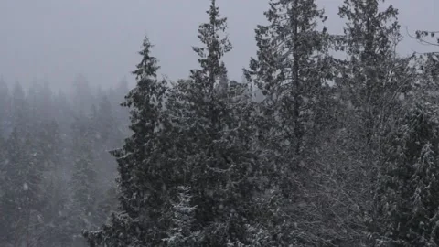 Winter Snowfall Stock Footage 132796165