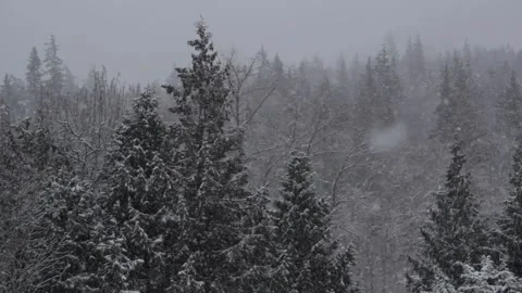 Winter Snowfall Stock Footage 132796214