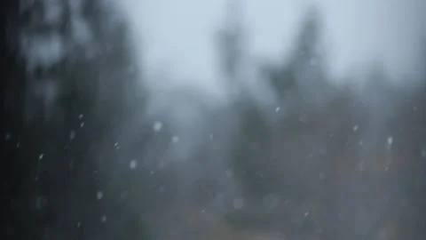 Winter Snowfall Video stock 132796248
