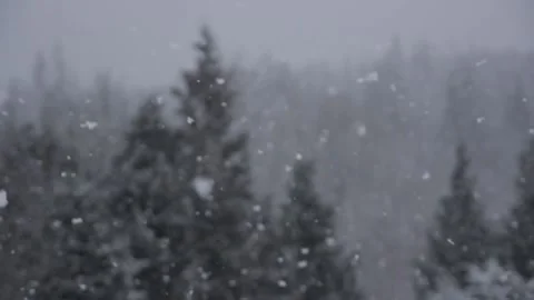 Winter Snowfall Stock Footage 132796558