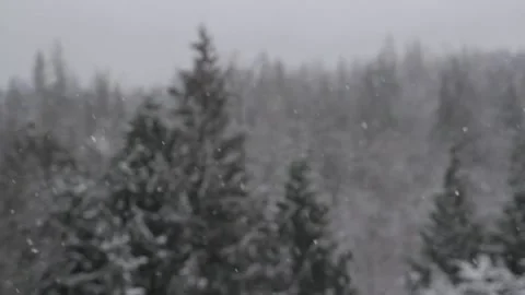 Winter Snowfall Stock Footage 132796957