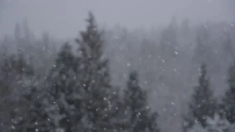 Winter Snowfall Video stock 132797521