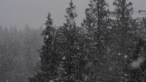 Winter Snowfall Stock Footage 132797820