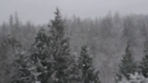 Winter Snowfall Stock Footage 132797865