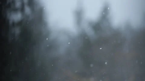 Winter Snowfall Stock Footage 132797920