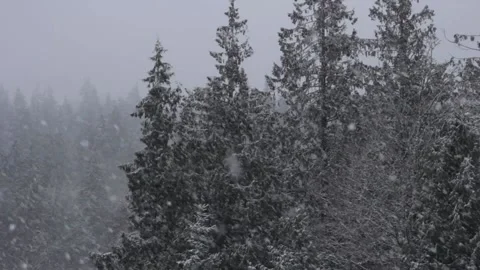 Winter Snowfall Video stock 132798230