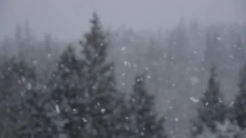 Winter Snowfall Stock Footage 132798826