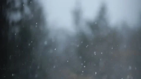 Winter Snowfall Stock Footage 132799302