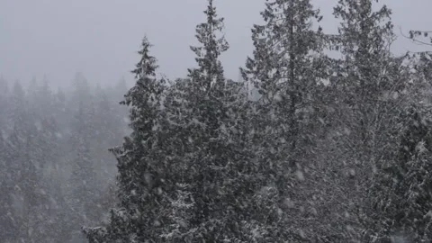 Winter Snowfall Video stock 132799426
