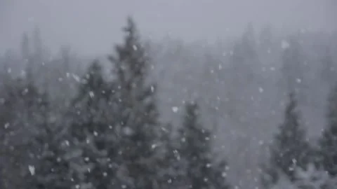 Winter Snowfall Stock Footage 132799558
