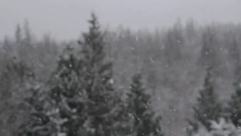 Winter Snowfall Stock Footage 132800036