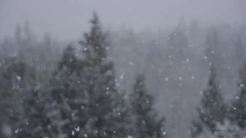 Winter Snowfall Stock Footage 132800955