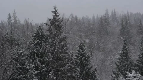 Winter Snowfall Stock Footage 132801289