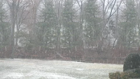 Winter Snowfall Stock Footage 146020723