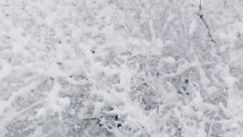 Winter snowfall Stock Footage 146485218