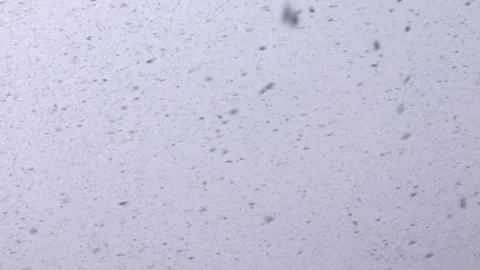 Winter snowfall in gray cloudy sky. Stock Footage 150554934