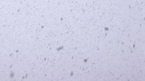 Winter snowfall in gray cloudy sky. Stock Footage 150554949