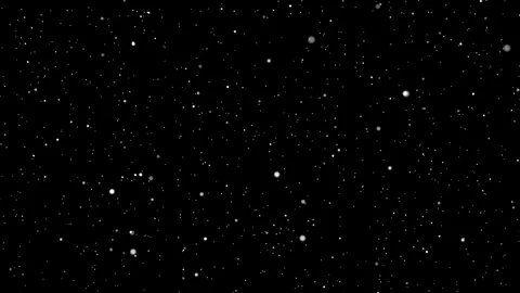 Winter Snowfall Motion Stock Footage 291069870