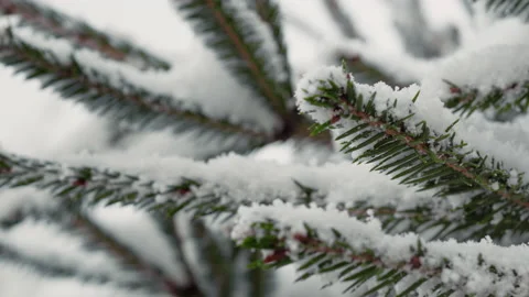 Winter, snowfall outside Stock Footage 166387929
