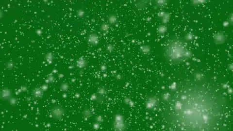 Winter Snowfall overlay on green background. winter snow flurry. Stock Footage 296152983