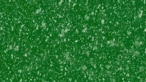 Winter Snowfall overlay on green background. winter snow flurry. Stock Footage 296217709