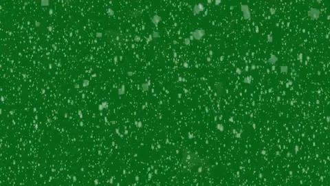 Winter Snowfall overlay on green background. winter snow flurry. Stock Footage 296217827