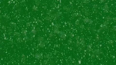 Winter Snowfall overlay on green background. winter snow flurry. Stock Footage 296218551